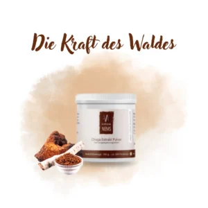 Экстракт чаги в виде порошка, высококонцетрированный